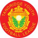 Tandridge Youth League